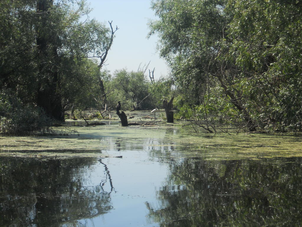 Pensiunea Cristal Tulça Dış mekan fotoğraf