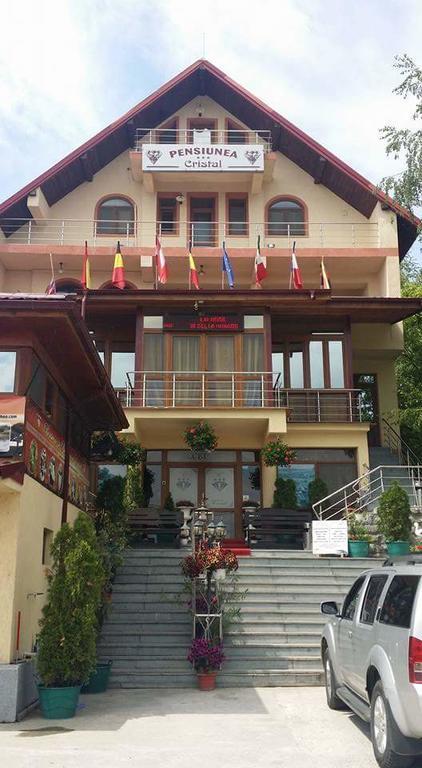 Pensiunea Cristal Tulça Dış mekan fotoğraf